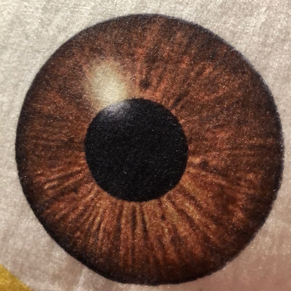 Meet your Posher, Alyna